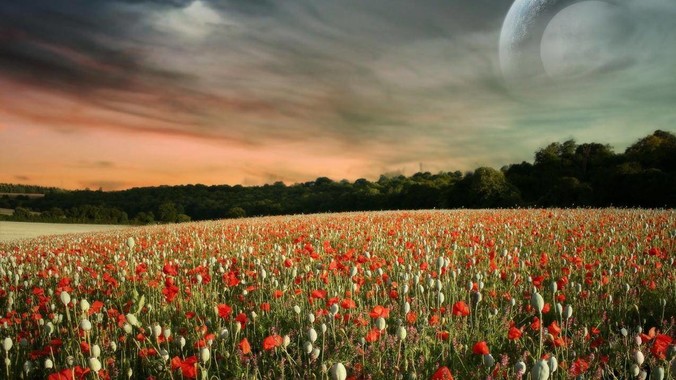 慈禧为什么要反对戊戌变法？